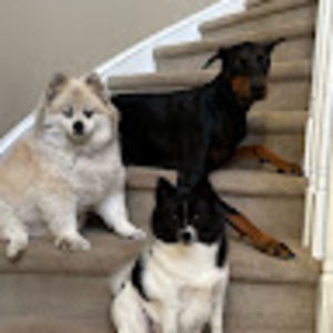 Meet your Posher, Chrissy